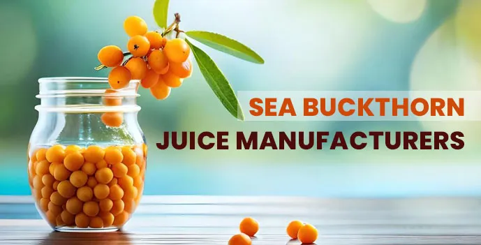 Sea Buckthorn Juice Manufacturers