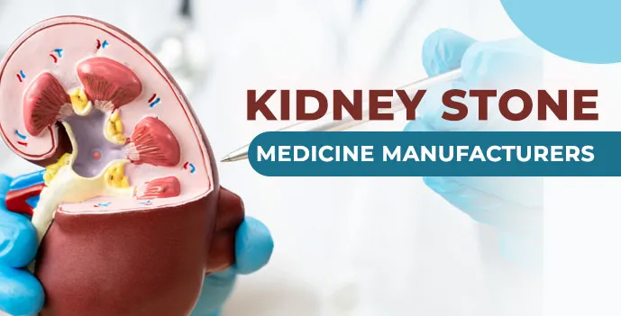 Kidney Stone Medicine Manufacturers